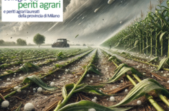 Periti Agrari di Milano - perizie danni attività atmosferiche