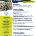 Perito estimatore danni grandine 2025